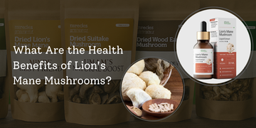 What Are the Health Benefits of Lion's Mane Mushrooms?