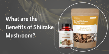 What are the Benefits of Shiitake Mushroom?